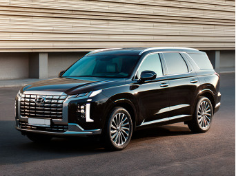 Hyundai  Palisade VIP