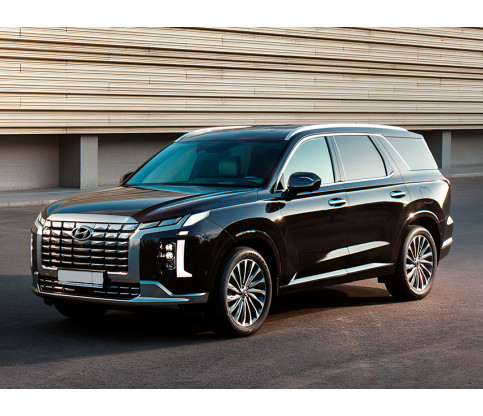 Hyundai  Palisade VIP - 1