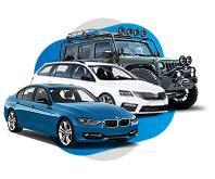 Свыше 5000 автомобилей 